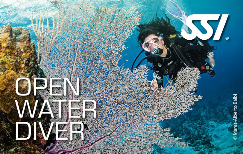 Open Water Certification