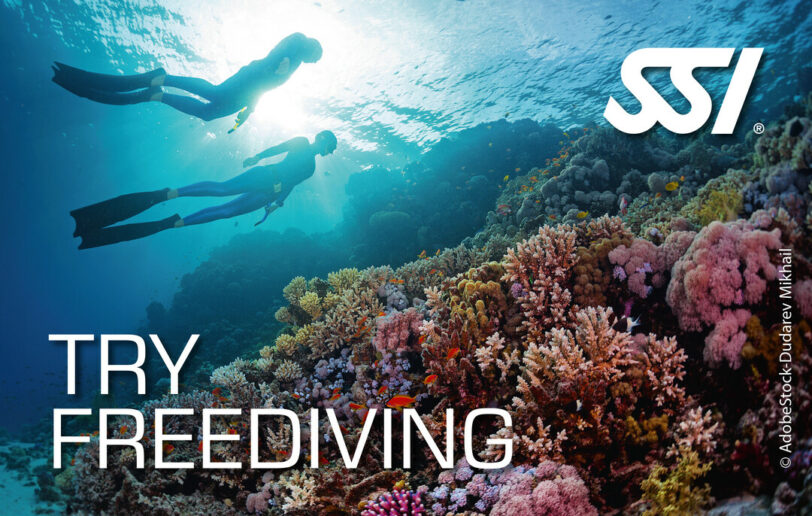 Try Freediver