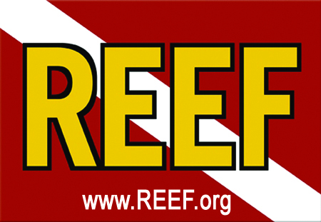 Reef.org logo